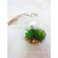 2015 beautiful plastic mixed potted green succulent plant with round glass